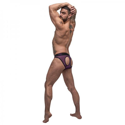 Male Power Airotic Mesh Butt Out Bikini Ppl Medium